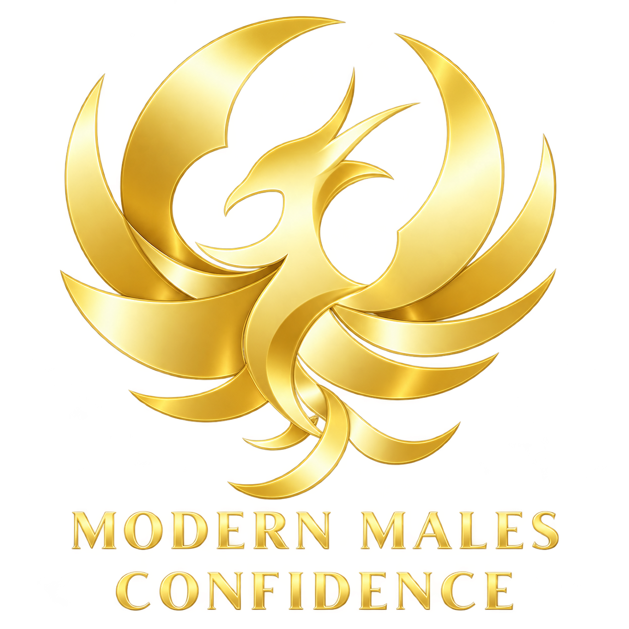 Modern Males Confidence